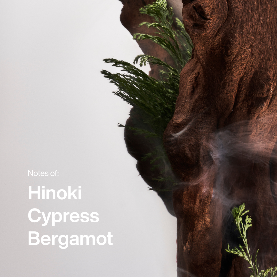 Hinoki Wood Eau De Toilette Spray 50ml