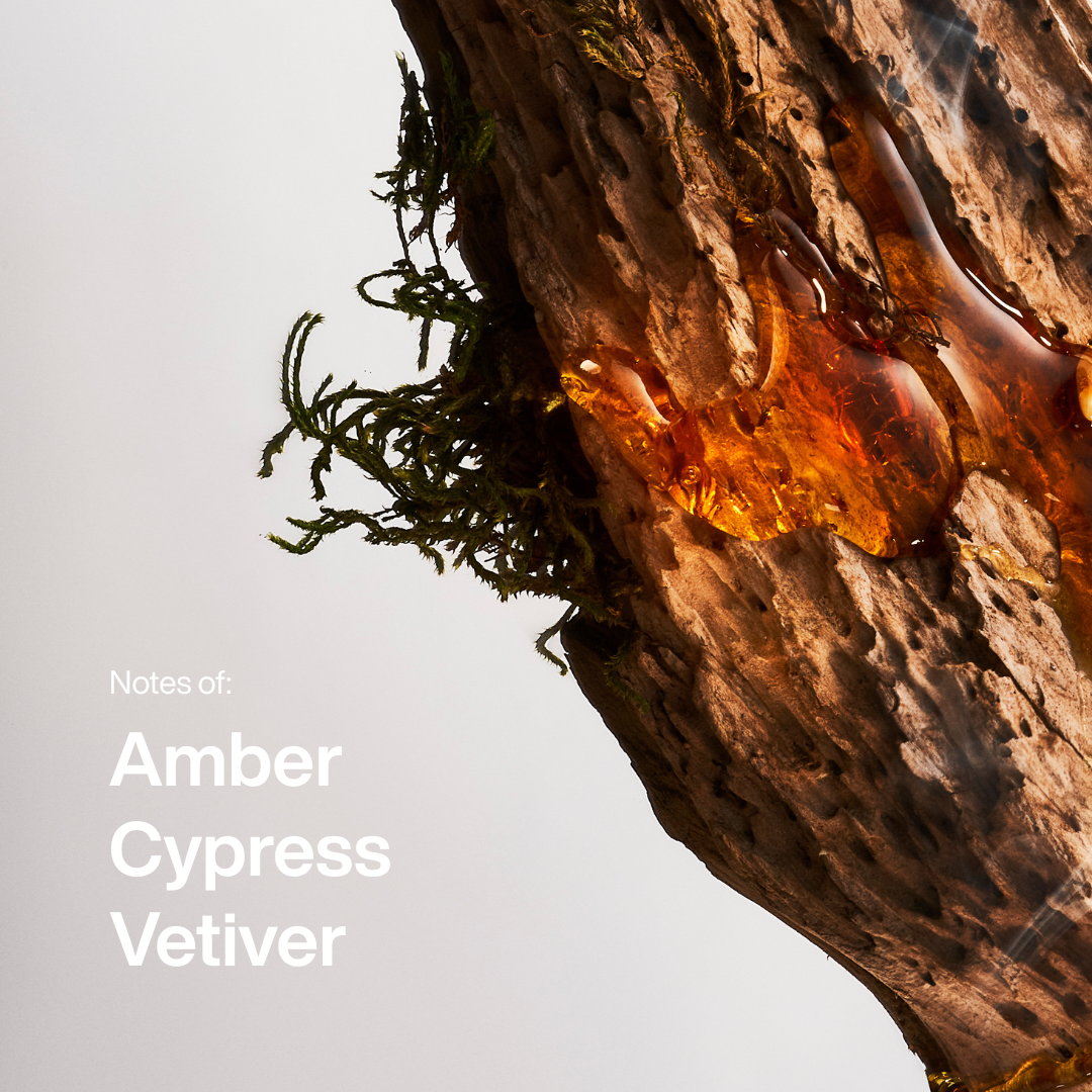 Amber & Vetiver EDT Fragrance Spray 50ml