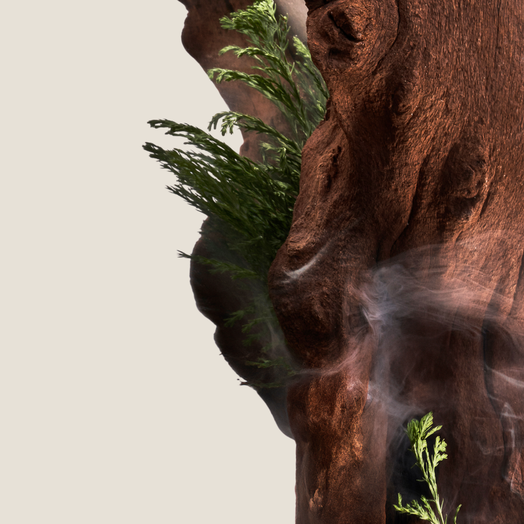 Hinoki Wood Shower Gel 200ml
