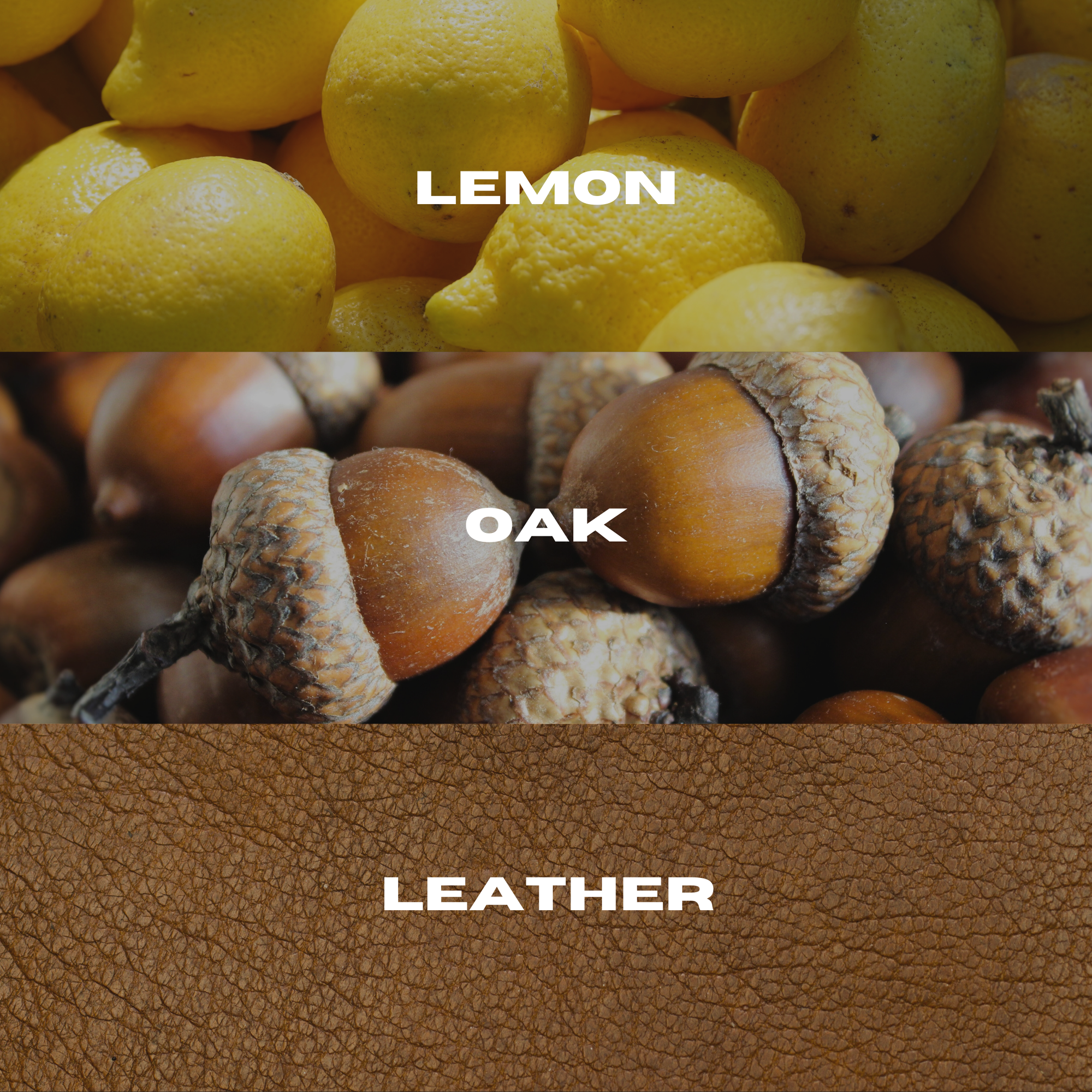 Lemon & Oak Eau De Toilette Spray - 50ml