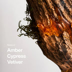 Amber & Vetiver Fragrance Duo