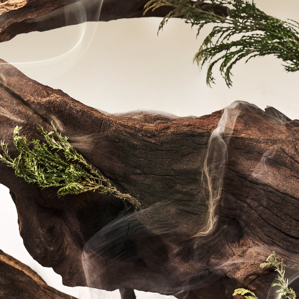 FOREST WOODS